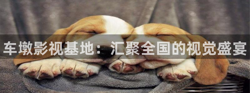 87午夜伦理影院：车墩影视基地：汇聚全国的视觉盛宴