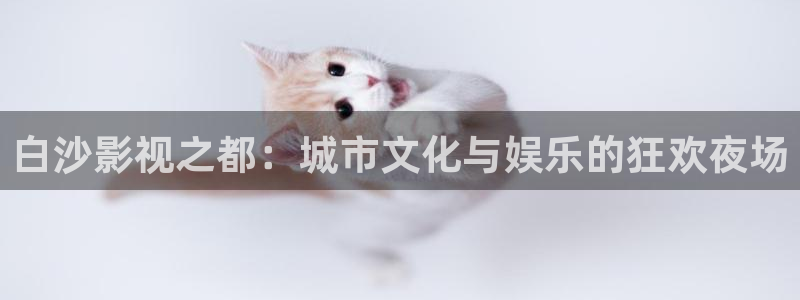 美国伦理影院：白沙影视之都：城市文化与娱乐的狂欢夜场