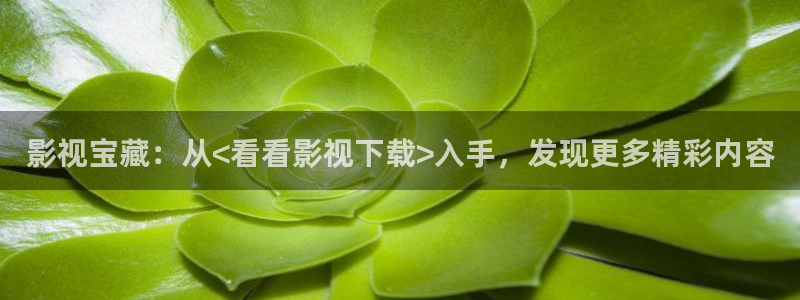 一一伦理影院：影视宝藏：从<看看影视下载>入手，发现更多精彩内容