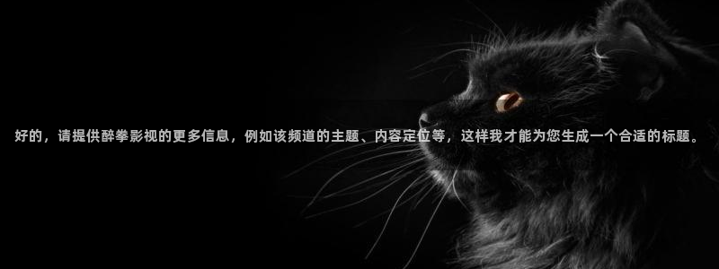 伦理影院在线观看视频：好的，请提供醉拳影视的更多信息，例如该频道的主题、内容定位等，这样我才能为您生成一个合适的标题。