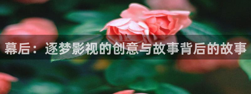 伦理影院在线：幕后：逐梦影视的创意与故事背后的故事
