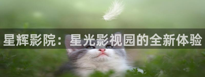87伦理影院：星辉影院：星光影视园的全新体验