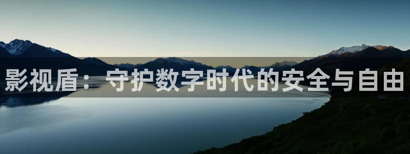 伦理影片在线网站：影视盾：守护数字时代的安全与自由