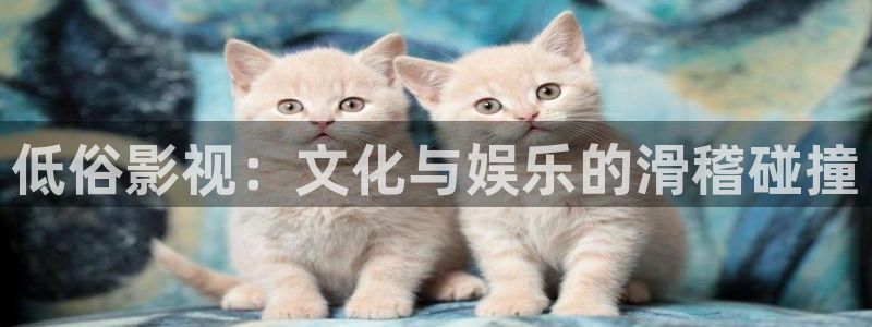 秋霞伦理视频免费观看：低俗影视：文化与娱乐的滑稽碰撞