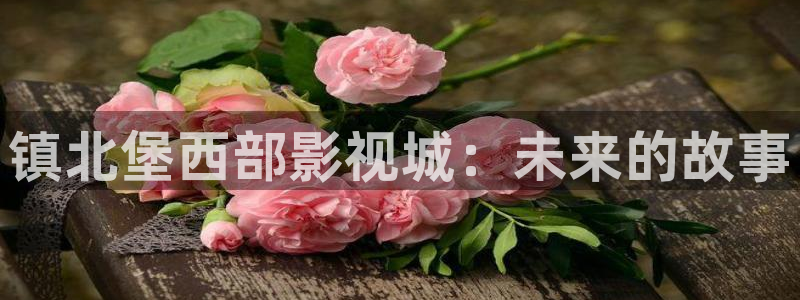 天天伦理影院：镇北堡西部影视城：未来的故事